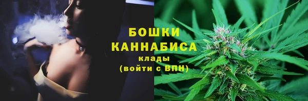 ALPHA PVP Горнозаводск
