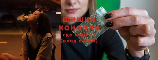 ALPHA PVP Горнозаводск