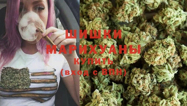 стаф Янаул