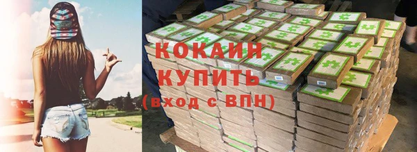 соль ск Горняк
