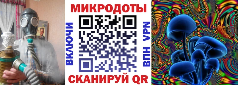 Купить закладки  Заринск  Галлюциногенные грибы Psilocybine cubensis 